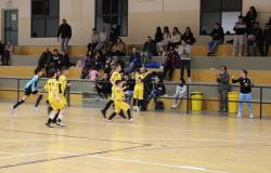  "Calcio Insieme": trionfa la Virtus (FOTO)