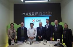 Vercelli ospiterà la prima edizione dell'Italy Sushi Cup