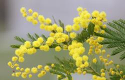 Festa della donna: niente spazio alle disuguaglianze