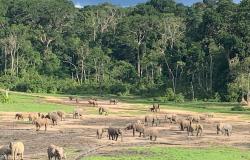 "Immagini dal mappamondo": un viaggio nella Repubblica centro africana