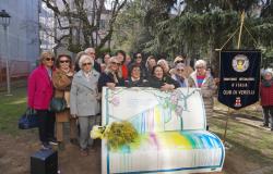 Soroptimist Vercelli: una panchina per riflettere sul vero amore e sulla parità