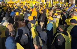 Anche gli agricoltori vercellesi a Parma per la sicurezza alimentare