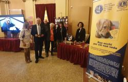 Lions club Vercelli: raccolti 600 euro per i cani guida
