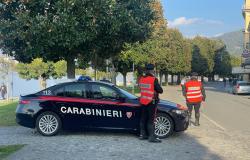 "Signora, le sono cadute delle monete" e le rubano la borsa 