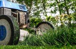 Verde pubblico: il programma degli interventi in città