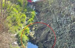 "L'acqua fatica a scorrere nella roggia a fianco dell'ex Consorzio agrario"