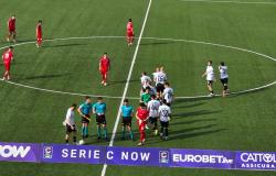 Poteva andare peggio: Pro Vercelli - Pro Patria 2-2
