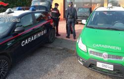 Scoperta un'autocarrozzeria abusiva nel Vercellese 