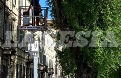 Manutenzione del verde: "Entro fine aprile ci saranno 20 operai al lavoro"