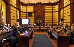 "Collaborazione e  strumenti attivi a sostegno dei territori"