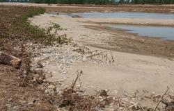 "Il dopo alluvione richiede interventi immediati"