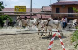 Il team Cascina Varalla vince la Corsa dei Buoi di Asigliano
