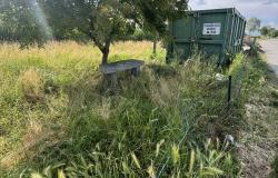 Villata: "L'area cani è in stato di completo abbandono e incuria"