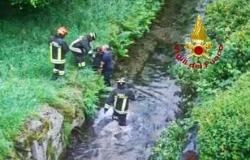 Bianzè: cane cade in un canale, salvato dai Vigili del fuoco