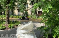 Vercelli: riapre viale Garibaldi