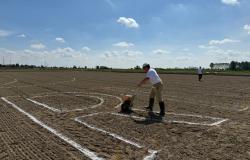 Un "Risegno" per festeggiare gli 80 anni del Carnaroli