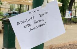 Viale Garibaldi: "Attenzione ai bocconi avvelenati per i cani"