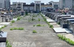 Vercelli, cimiteri: «Il degrado frutto di 10 anni  di imperizia»