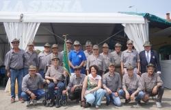 Gruppo Alpini di Arborio: tutte le foto delle celebrazioni