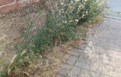 Vercelli: "Meno proclami  e più pulizia"
