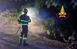 Vercelli: incendio sterpaglie in corso Rigola