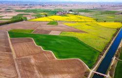 Vercelli si prepara ad ospitare Risò