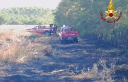Borgo d'Ale: fiamme in un campo d'orzo e in un bosco 