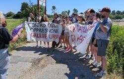 Allevamento intensivo di galline ovaiole: la protesta