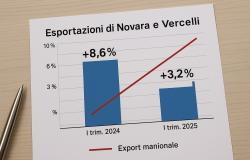 A Vercelli l’export conquista l'Arabia Saudita 