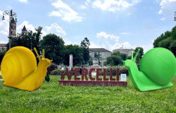 "ArteNatura": a settembre Vercelli "invasa" da animali giganti