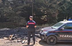 Brucia dei rifiuti e provoca un principio d'incendio nel bosco vicino