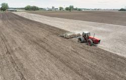  Usi civici: svolta per l’agricoltura, abbattimenti della sanatoria fino al 90%