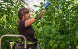 Accordo per valorizzare le competenze dei lavoratori agricoli