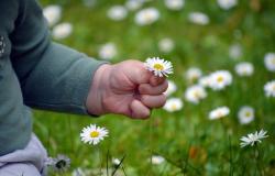 "Nati con la natura": il progetto per i bambini da 0 a 2 anni