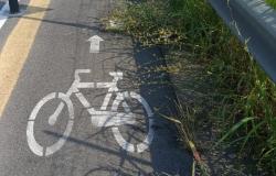 "Ciclabile di via Cadore e marciapiede di via Einaudi: dov'è la manutenzione?"