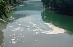 Schiuma sul fiume Sesia al Parco Magni, intervenuti Arpa e Polizia locale
