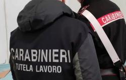 "Sfruttamento del lavoro":  Loro Piana in amministrazione giudiziaria