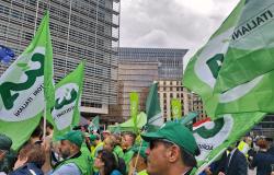 Tagli alle risorse e accorpamento Pac: insorge il settore agricolo