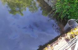 Ripetute segnalazioni di macchie oleose nel Cervetto