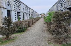 Al cimitero erbacce, disordine e incuria