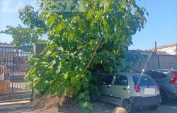 "Questa è la situazione della zona intorno alla stazione ferroviaria"