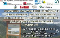 Convegno: tutela delle aree subalpine