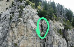 Tre cani salvati in un canalone alpino 