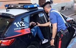 Preso un topo d'appartamento