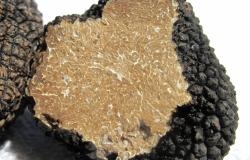 Il tartufo: tesoro Unesco