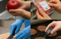 Intossicazioni alimentari: consigli per la prevenzione