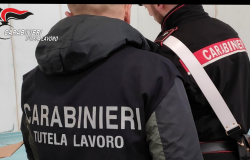Lotta al caporalato: nel Vercellese due denunce e un'attività sospesa