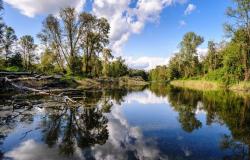 Fondi per il Parco delle Lame del Sesia: interessati 4 Comuni vercellesi