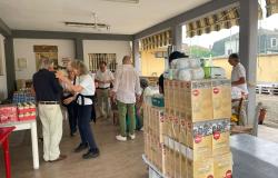 Il grande cuore dei vercellesi nella raccolta cibo per Gaza