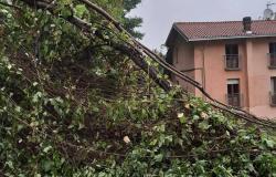 Borgosesia: "Qualche danno, ma la paura è passata"